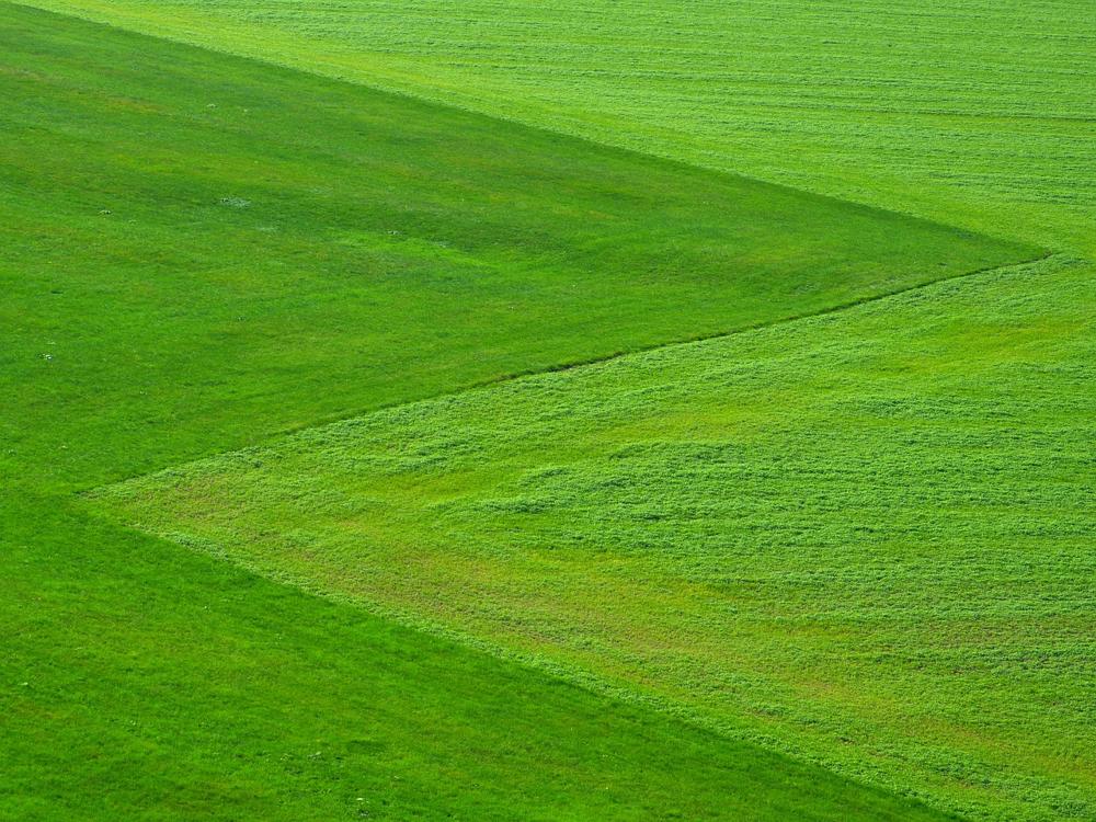 Green Field