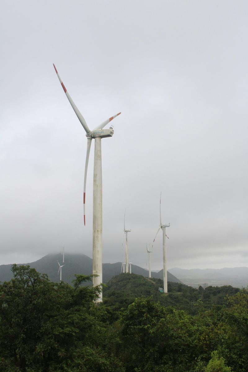 renewable energy